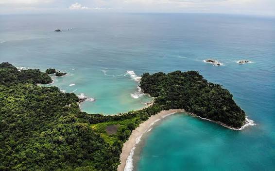 Costa Rica coastline, where BRASA began